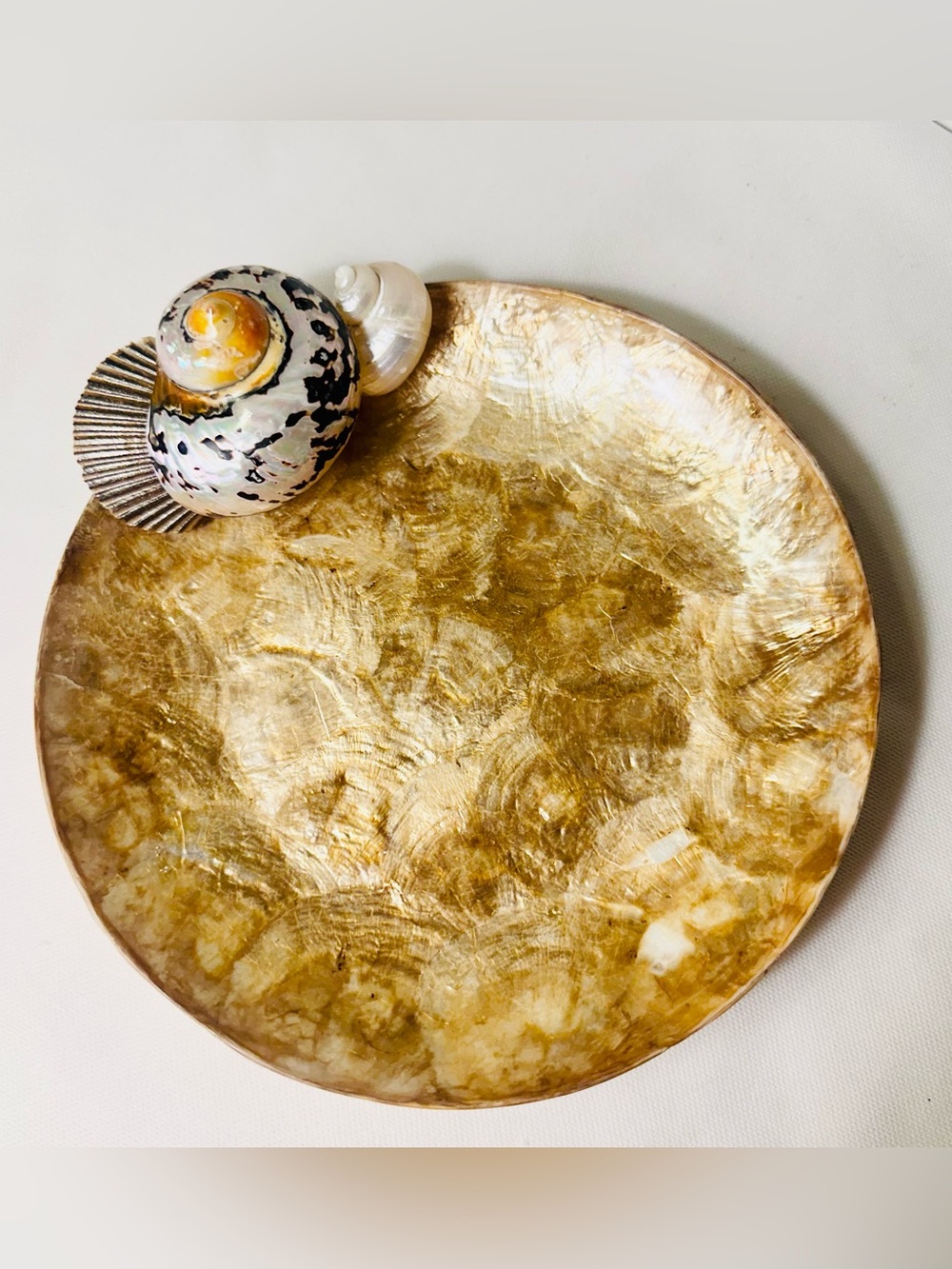 Gorgeous VTG Capiz Shell Round Plate Bowl With Applied Shells Beach House Decor